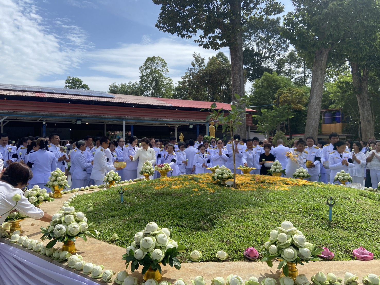 title - วันที่ 10 กรกฎาคม 2569 ณ วัดศรีเงินเจริญสุข ตำบลโนนห้อม อำเภอเมืองปราจีนบุรี จังหวัดปราจีนบุรี นายวิทูล ประดิษฐบุญ ปฏิรูปที่ดินจังหวัดปราจีนบุรี มอบหมายให้ ข้าราชการ และเจ้าหน้าที่ ส.ป.ก.ปราจีนบุรี เข้าร่วมพิธีปลูกพระศรีมหาโพธิทศมราชบพิตร